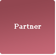 diskunst-partner